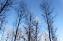 Faîtes en feu
